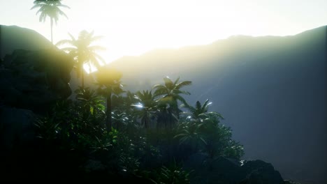 Mountain-and-Field-Landscape-with-Palms